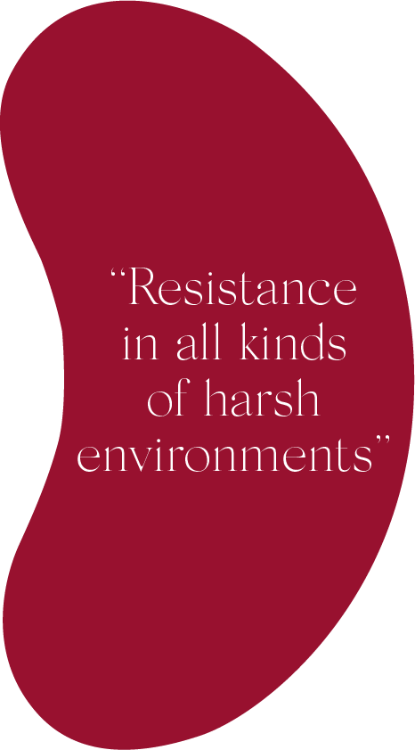Resistance in all kinds of harsh environments